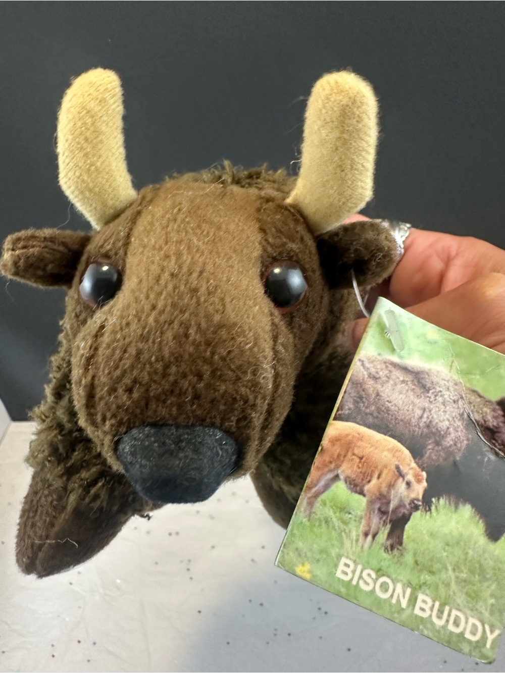 Bison Buddy Plush Stuffed Animal - Brown with Tan Horns